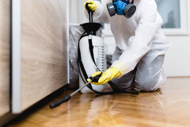 Best Pest Prevention Services  in Woodworth, LA