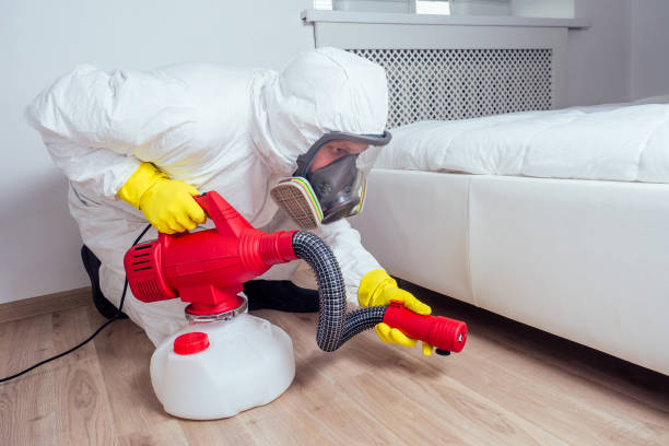 Best Local Pest Control Services  in Woodworth, LA