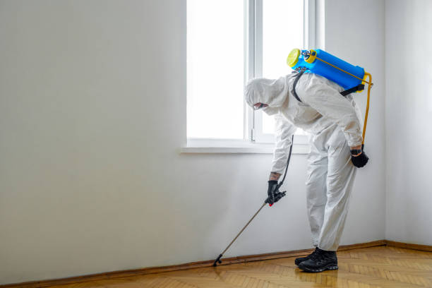 Best Rat Extermination Near Me  in Woodworth, LA