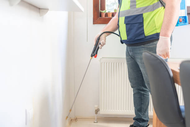 Best Pest Removal Services  in Woodworth, LA