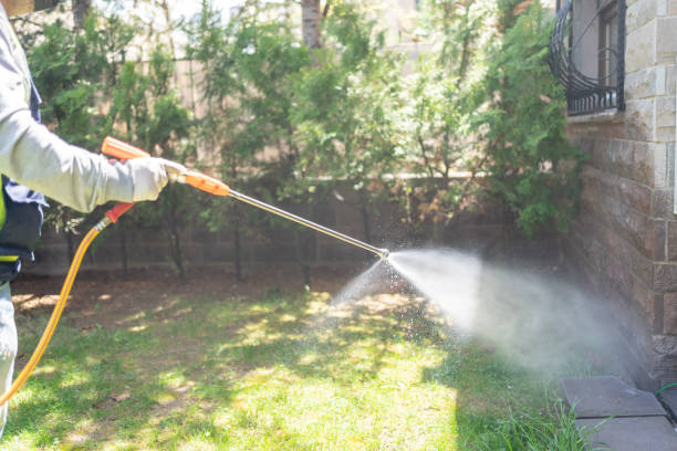 Best Insect Control  in Woodworth, LA