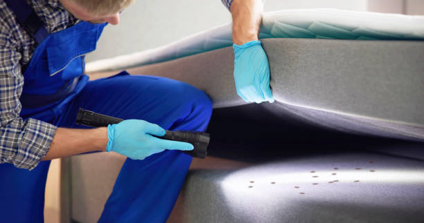 Best Pest Control for Restaurants  in Woodworth, LA
