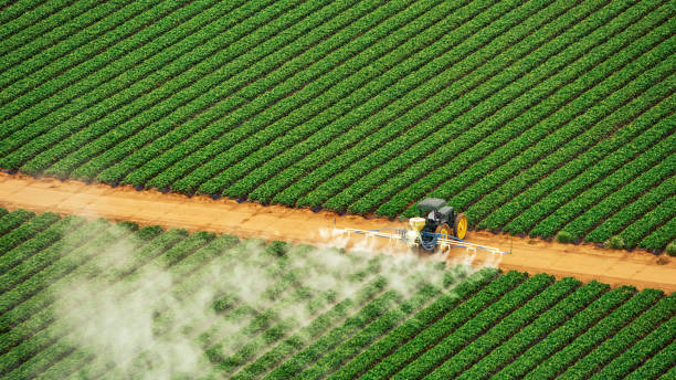Reliable Woodworth, LA Pest Control Solutions