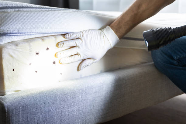 Best Commercial Pest Control Services  in Woodworth, LA