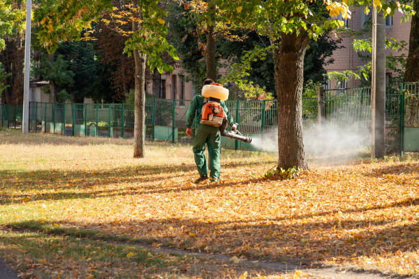 Pest Control for Restaurants in Woodworth, LA