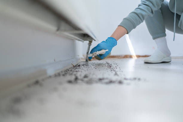 Best Emergency Pest Control  in Woodworth, LA